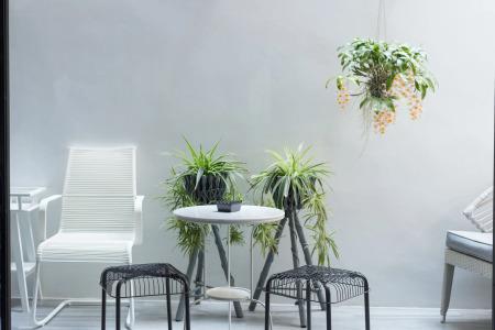 White Ivory Bed And Breakfast - 15