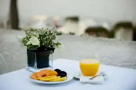 Oasi Di Kufra - 13