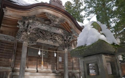Address Nozawa - 0
