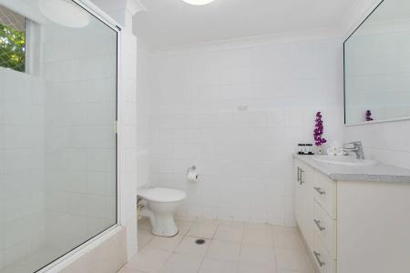 Cairns City Palms - 9
