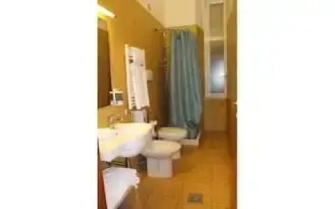 Bolognese - 22