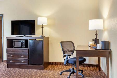 Comfort Inn at Thousand Hills - 64