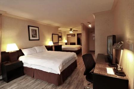 Divya Sutra Suites on Robson Downtown - 144
