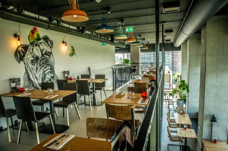 Leonardo Groningen - 28