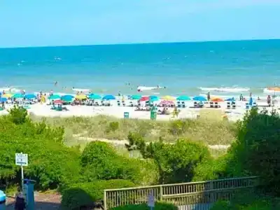 Carolinian Beach - 147