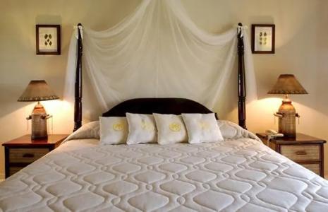 Lifestyle Tropical Beach Resort & Spa All Inclusive - 3