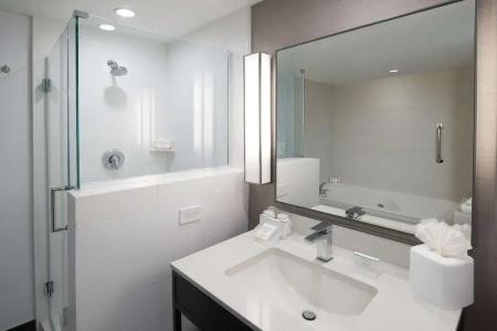 Hilton Garden Inn Las Colinas - 44