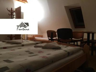 Pension Fontana - 29