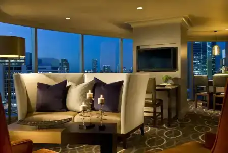 Omni Dallas - 99