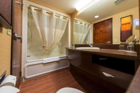 Quality Inn & Suites - 87