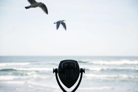 Surftides - 10