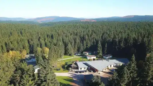 WaldRennsteighöhe - 36