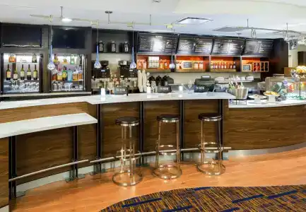 Courtyard by Marriott Houston Galleria - 25
