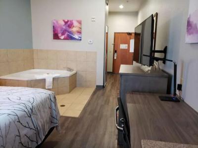 Best Western Plus San Antonio East Inn & Suites - 30