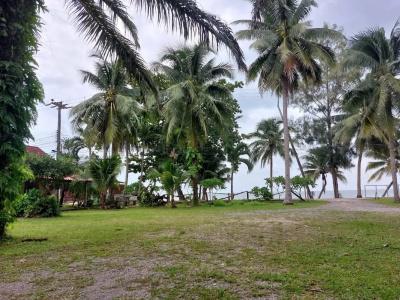 Chill Beach - 25