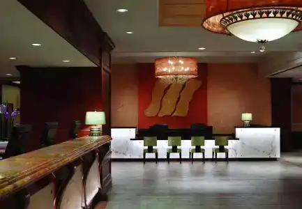 Marriott's Grand Chateau - 18