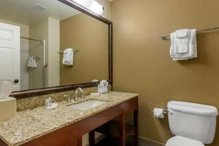 Comfort Suites - 52
