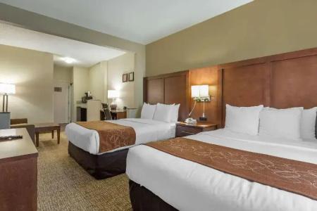 Comfort Suites Walnut Creek - 40
