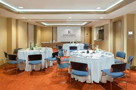 Renaissance Istanbul Polat Bosphorus - 21