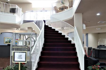 Cypress Pointe Resort by Diamond Resorts - 13