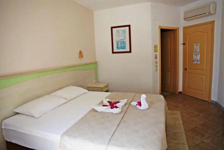 Serpina - 24