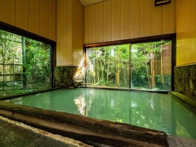 Hakone Onsen Sanso Nakamura - 27