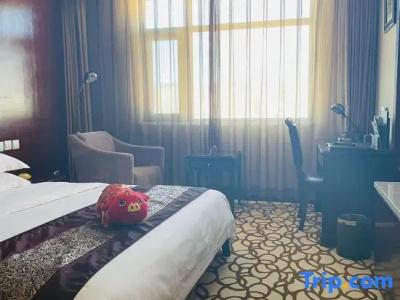 Dynasty International - 51