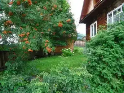 Усадьба у Дяди Вани - 1