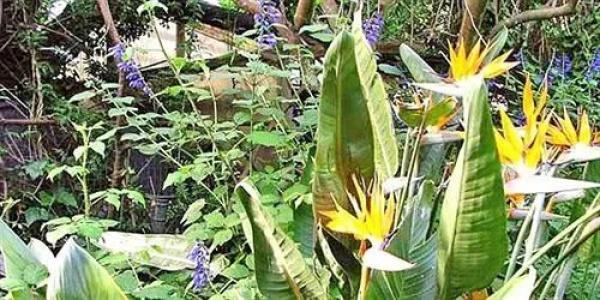La Gallina Felice b&b - 9