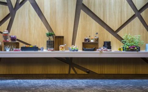 Radisson Blu Airport, Oslo - 11