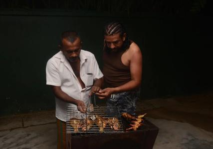 Galle Star - 14