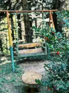Nunisi Forest & SPA - 15