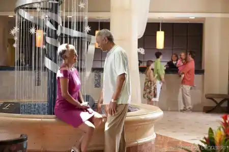 Hilton Grand Vacations Club SeaWorld Orlando - 21