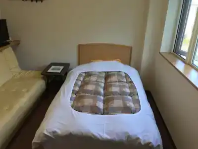 Ryokan Yamaichi - 4