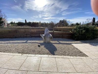 Le Mas de Cocagne - 10