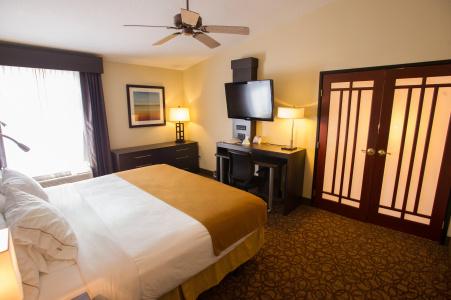 Holiday Inn Expresss & Suites West, An Ihg - 43