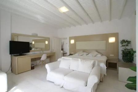 Dionysos Luxury Mykonos - 104