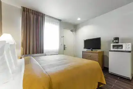 Quality Inn Airport - 3