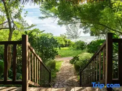Mango Bay Resort - 310