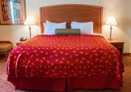 Best Western Plus San Antonio East Inn & Suites - 8