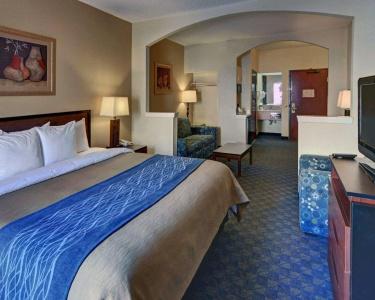 Quality Inn & Suites Dfw Airport South - 5