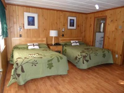Seven Dwarfs & Cabins - 2