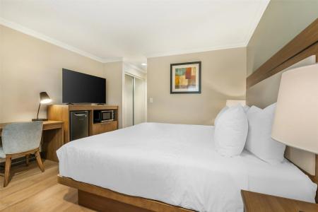 Best Western Plus - 42