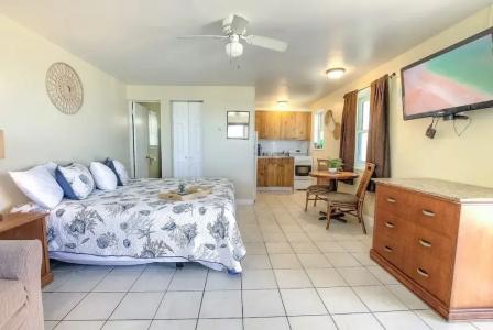 Daytona Shores Inn and Suites - 0