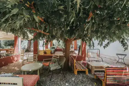 Saronis Agistri - 20