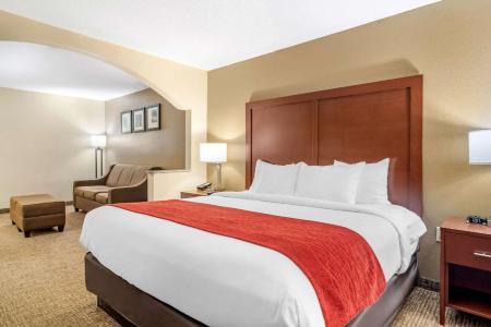 Comfort Inn & Suites North I-75 - 35