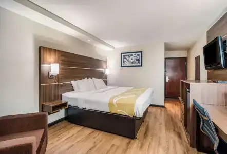 Quality Inn & Suites Fort Gordon - 4