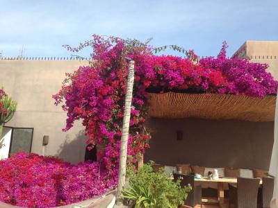 Riad Timila - 17