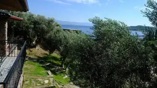 Assos Longevity - 47