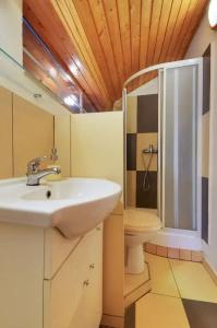 Apart Villas Ivica - 86